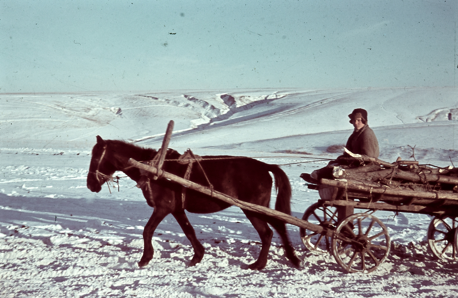 Oroszország, Ivanovka, (Voronyezsi terület, hoholszkiji járás), a felvétel a település déli határánál készült., 1942, Konok Tamás id, tél, hó, színes, ló, szekér, Fortepan #42593