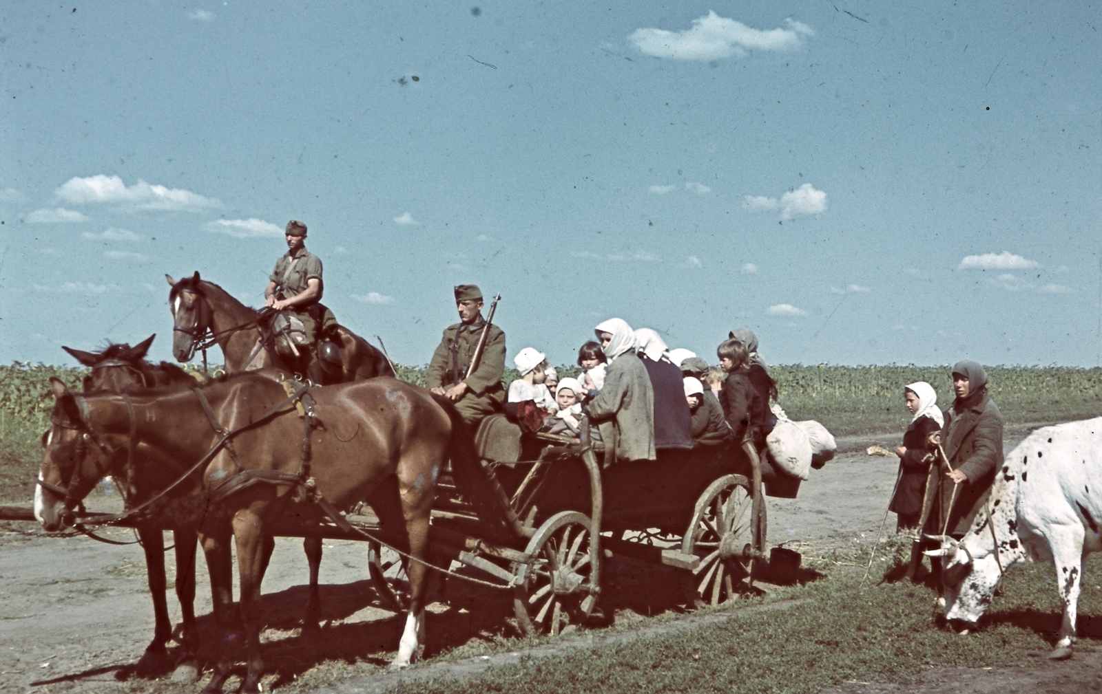 1942, Konok Tamás id, színes, ló, szekér, katonaság, szarvasmarha, Fortepan #42601