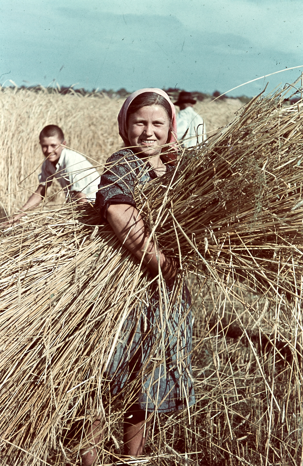 1938, Konok Tamás id, színes, földművelés, mezőgazdaság, aratás, Fortepan #42627