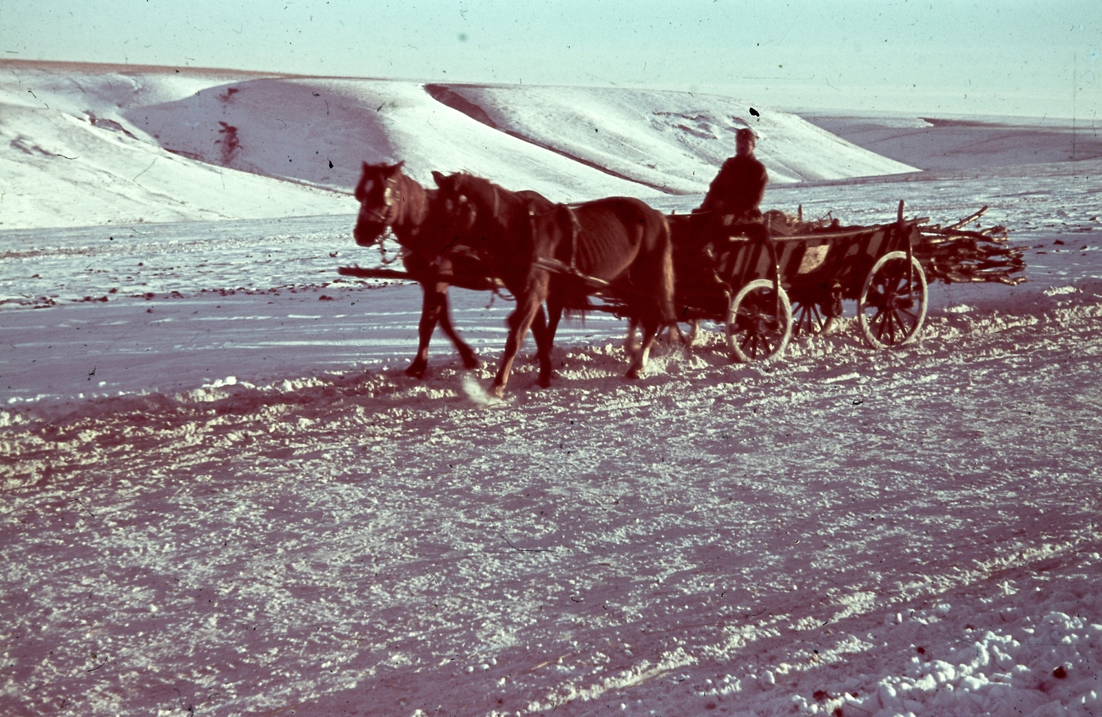 Oroszország, Ivanovka, (Voronyezsi terület, hoholszkiji járás), a felvétel a település déli határánál készült., 1942, Konok Tamás id, tél, hó, színes, ló, szekér, katonaság, Fortepan #42644