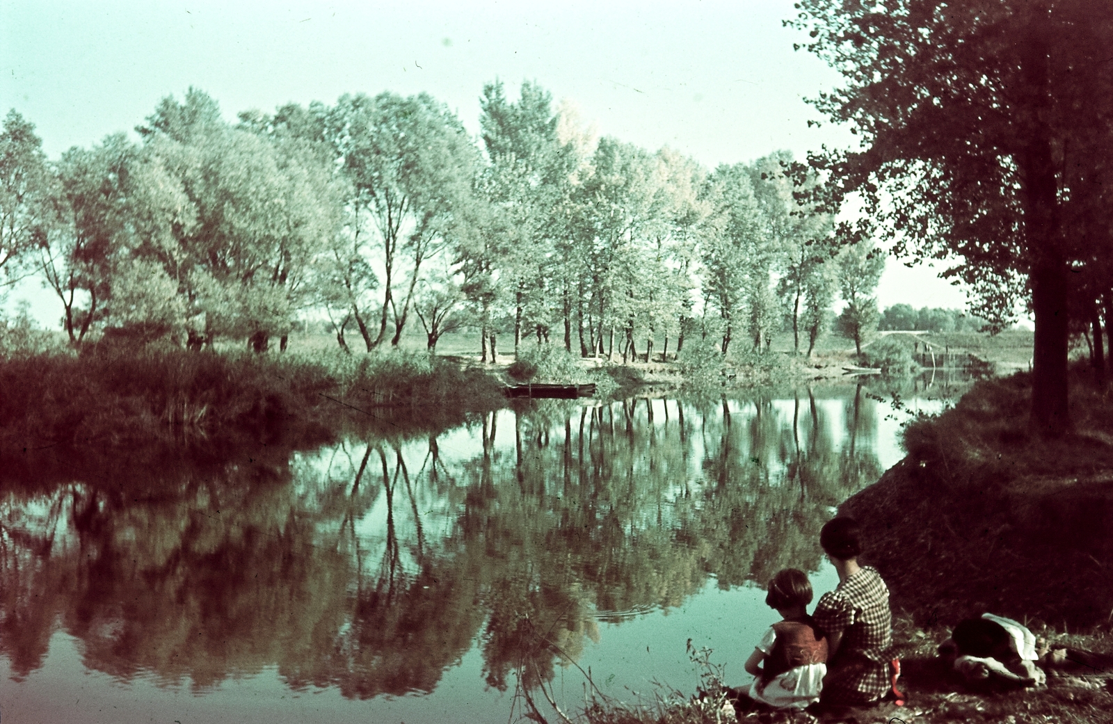 1943, Konok Tamás id, colorful, landscape, Fortepan #42652