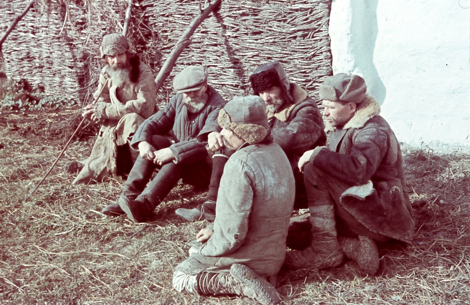 1942, Konok Tamás id, színes, paraszt, szakáll, usánka, vesszőfal, Fortepan #42673