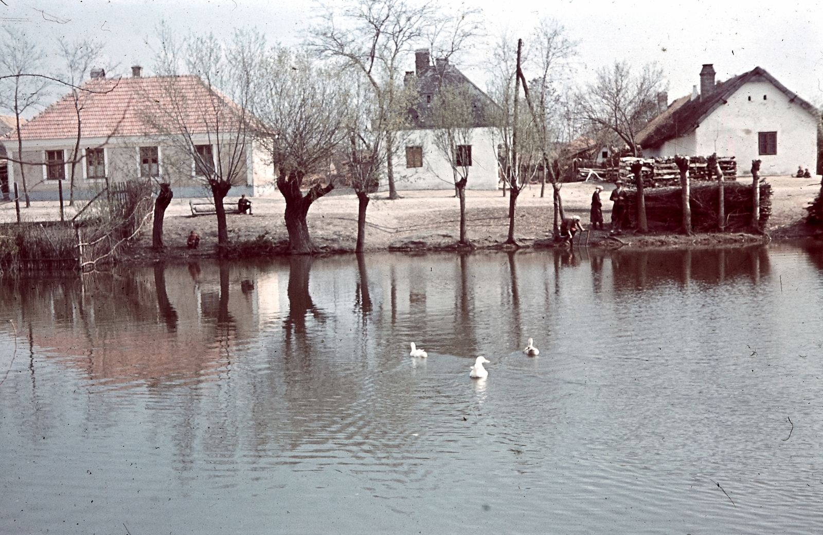 1938, Konok Tamás id, village, colorful, lake, Fortepan #42692