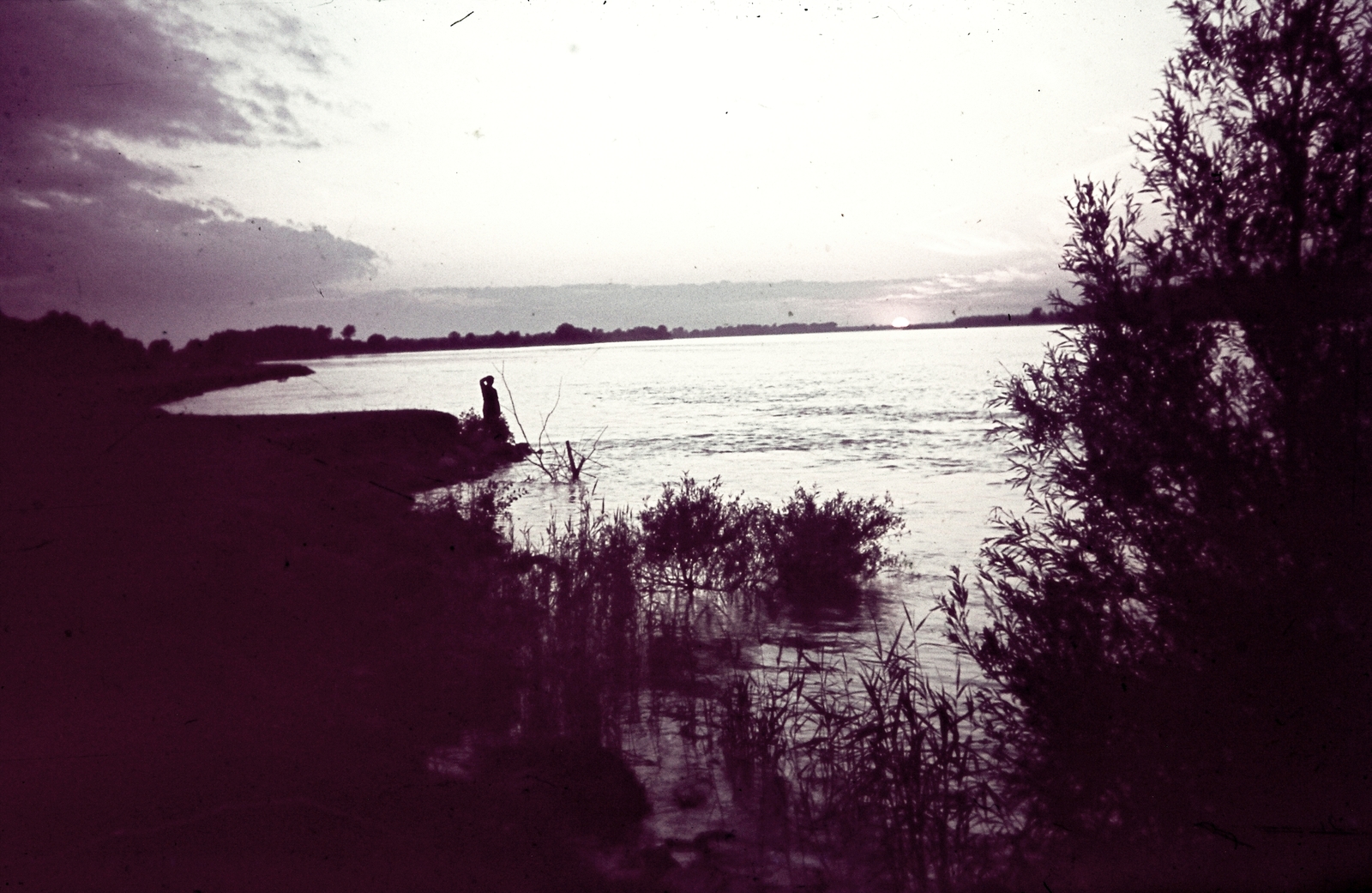 Hungary, Gönyű, Duna-part., 1943, Konok Tamás id, colorful, landscape, dusk, Fortepan #42703