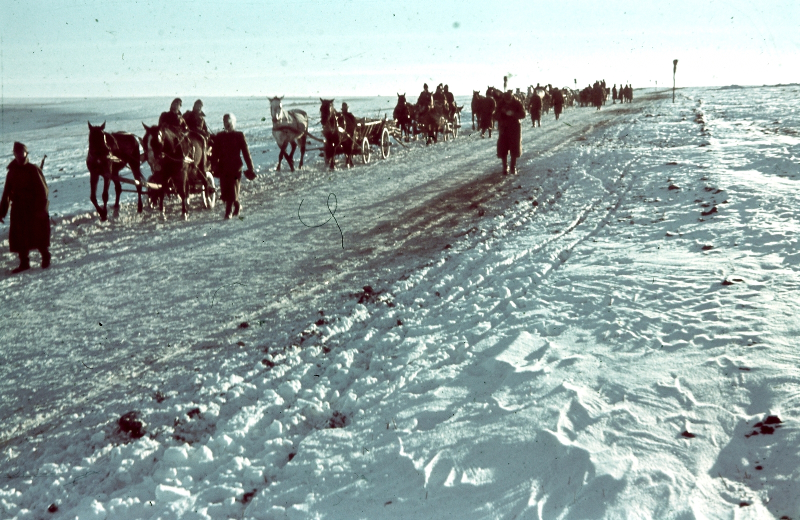 Oroszország, Ivanovka, (Voronyezsi terület, hoholszkiji járás), a felvétel a település déli határánál készült., 1942, Konok Tamás id, tél, hó, színes, ló, szekér, katonaság, Fortepan #42709