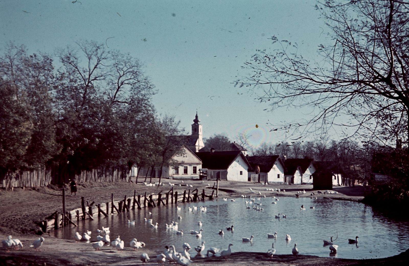 Hungary, Gyarmat, kacsaúsztató., 1938, Konok Tamás id, village, colorful, lake, Fortepan #42725