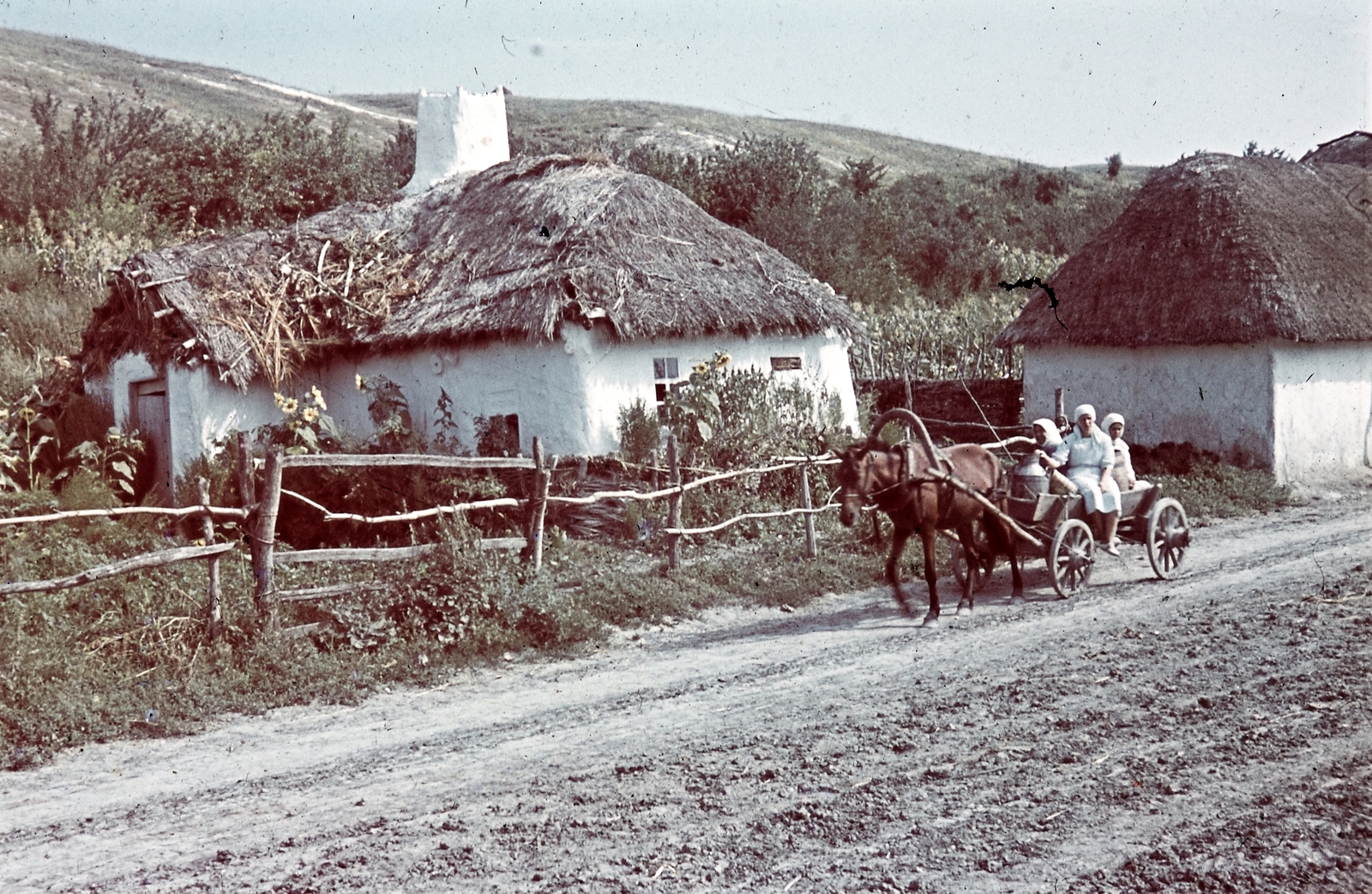 Oroszország, Koltunovka, 1942, Konok Tamás id, színes, ló, szekér, Fortepan #42735