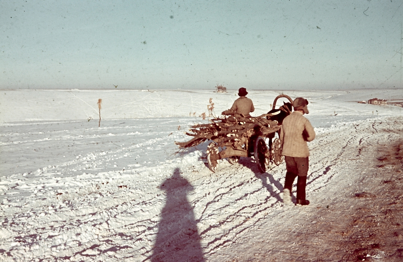 Oroszország, Ivanovka, (Voronyezsi terület, hoholszkiji járás), a felvétel a település déli határánál készült., 1942, Konok Tamás id, tél, színes, szekér, Fortepan #42741