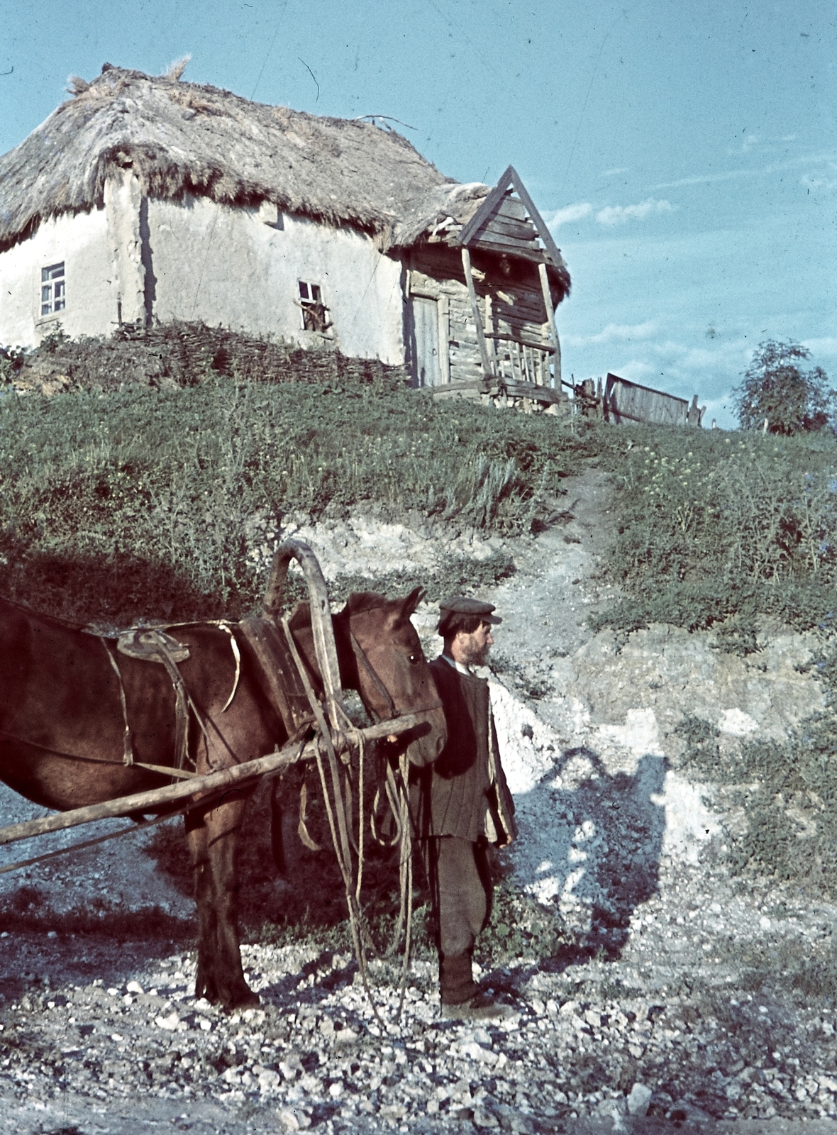 Oroszország, Szemigyeszjatnoje, 1942, Konok Tamás id, színes, ló, Fortepan #42753
