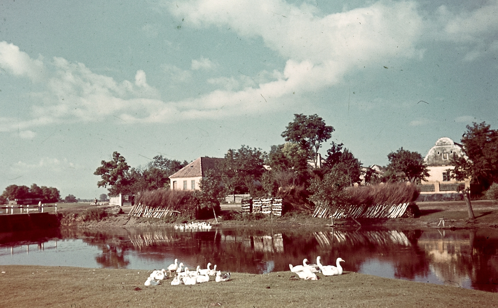 1939, Konok Tamás id, village, colorful, Fortepan #42775