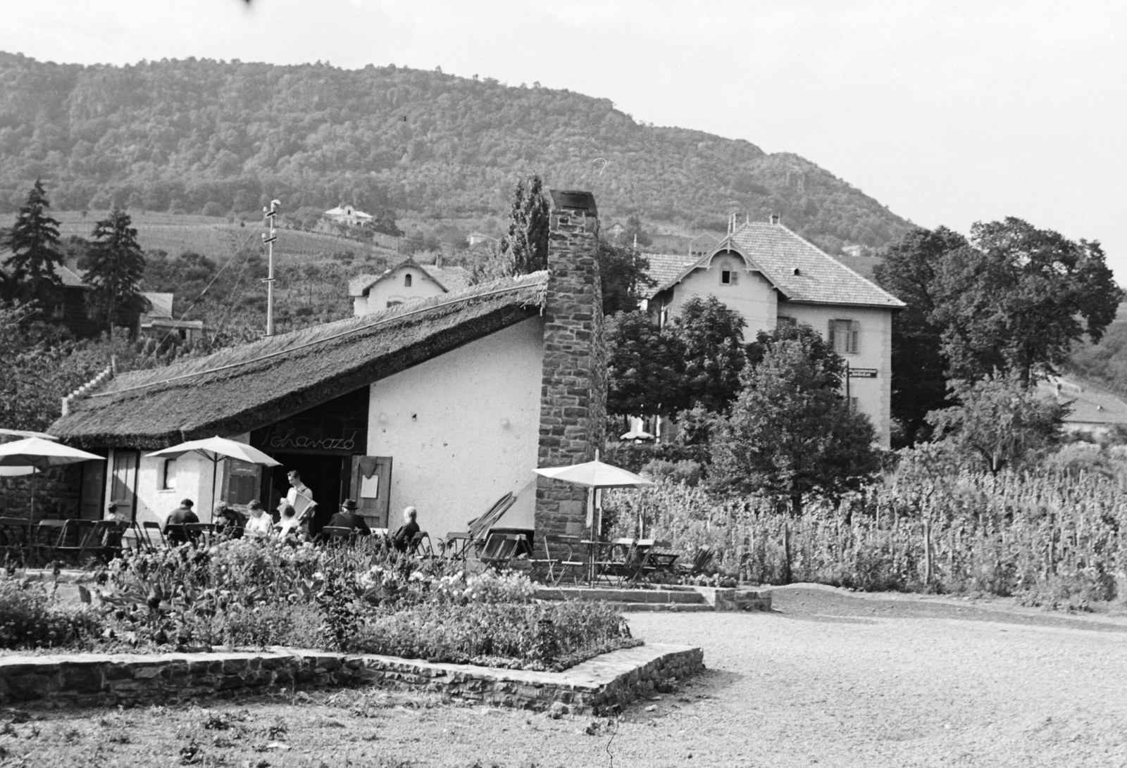Hungary,Lake Balaton, Badacsonytomaj, Poharazó a vasútállomás mögötti park fölött., 1959, Konok Tamás id, Fortepan #42794