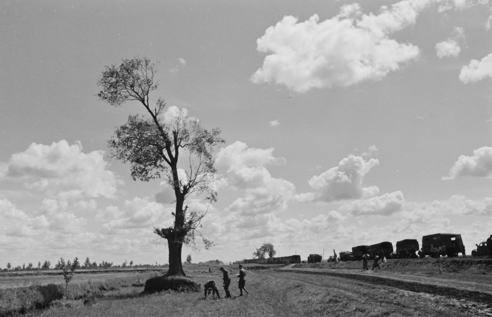 1942, Konok Tamás id, wood, clouds, landscape, Fortepan #42971