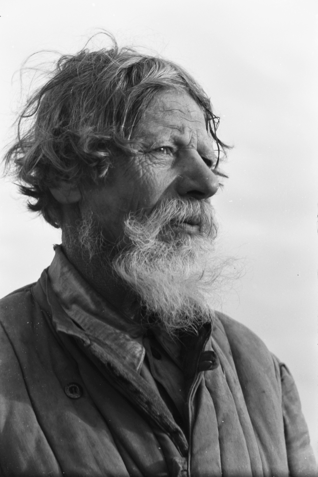 1942, Konok Tamás id, portrait, peasant, beard, Fortepan #43045