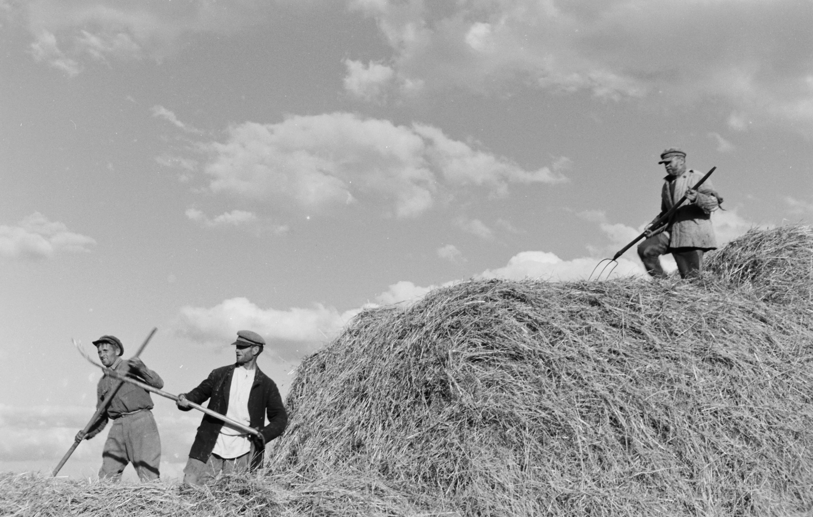 Russia, Koltunovka, 1942, Konok Tamás id, agriculture, prong, hay, Fortepan #43048