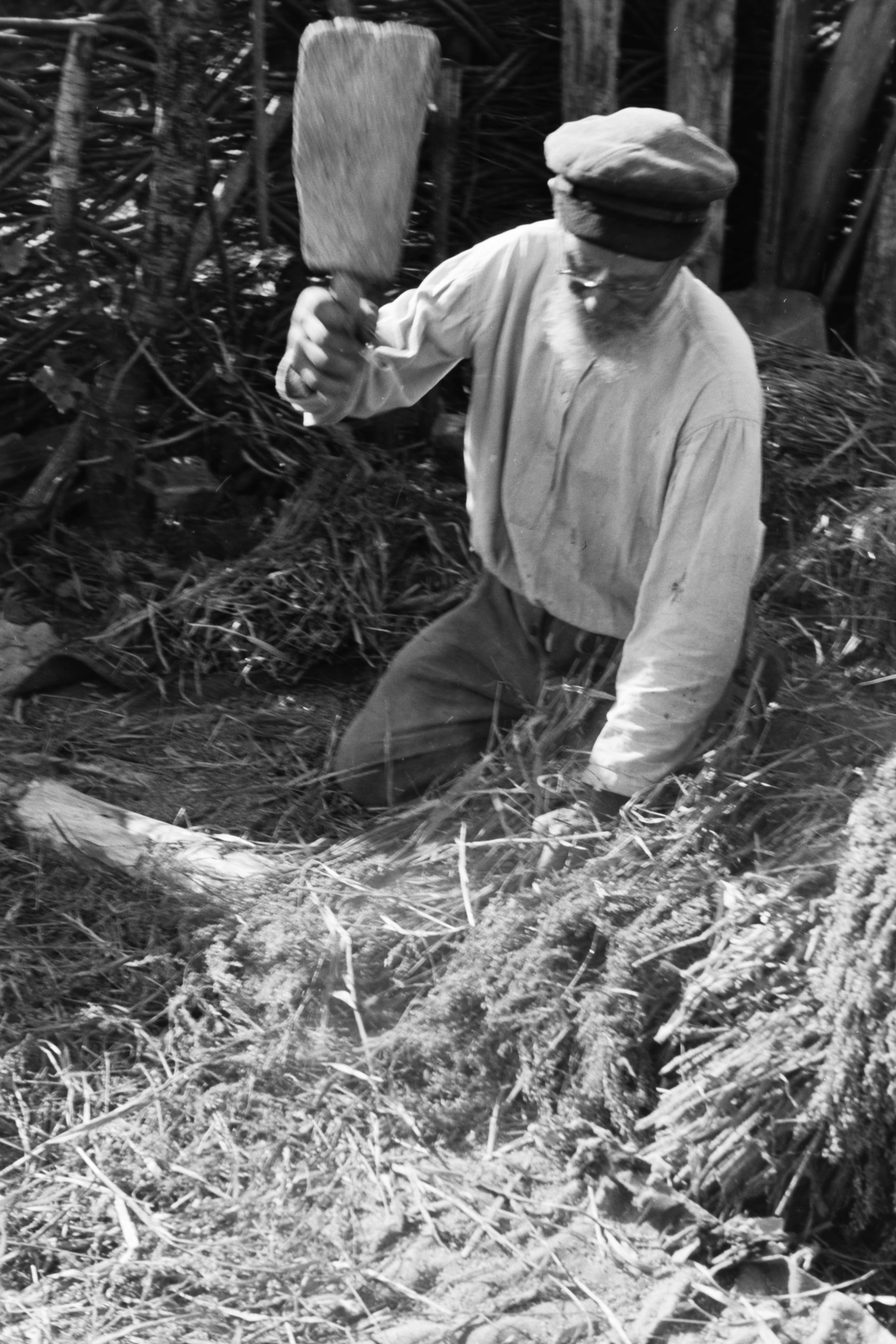 Oroszország, 1942, Konok Tamás id, cséplés, Fortepan #43055
