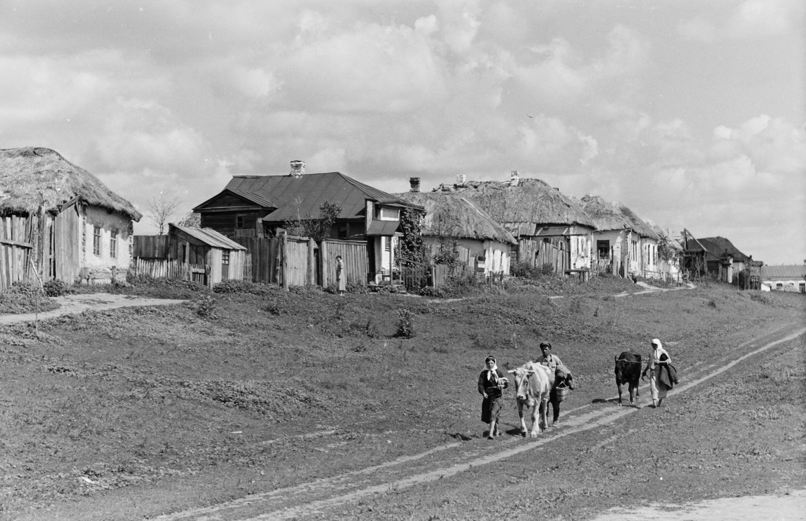 1942, Konok Tamás id, falu, szarvasmarha, népviselet, nádtető, fejkendő, Fortepan #43067