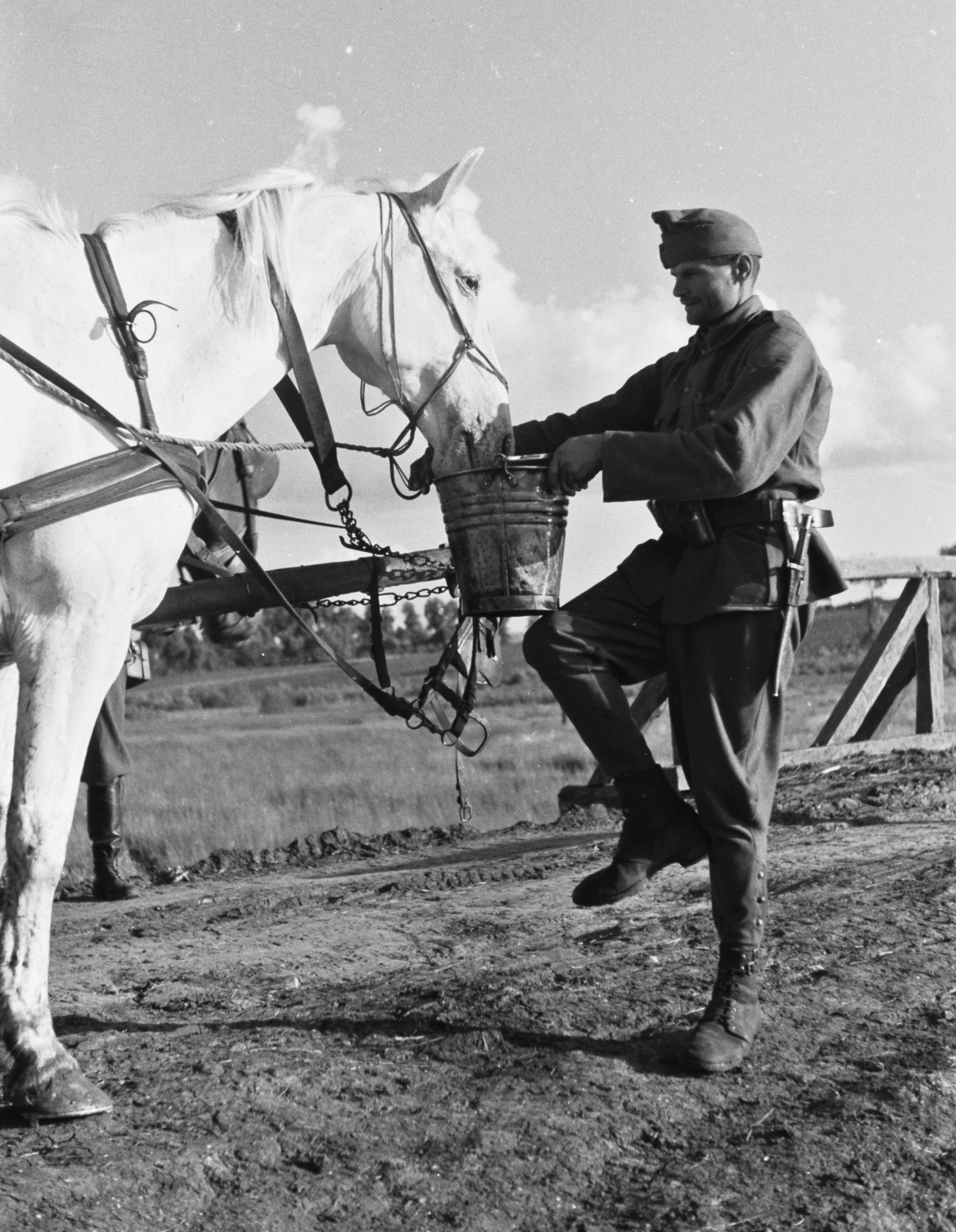 1942, Konok Tamás id, horse, bucket, bayonet, drinking, Fortepan #43130