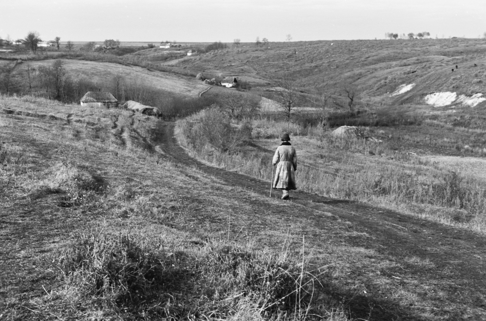 1942, Konok Tamás id, landscape, Fortepan #43137