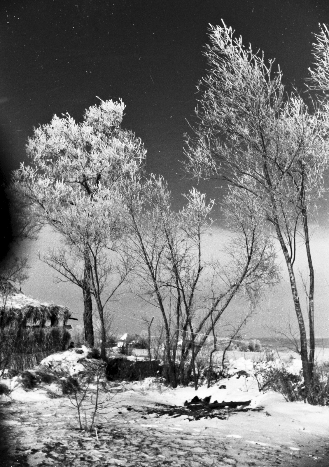 1942, Konok Tamás id, winter, snow, Fortepan #43151