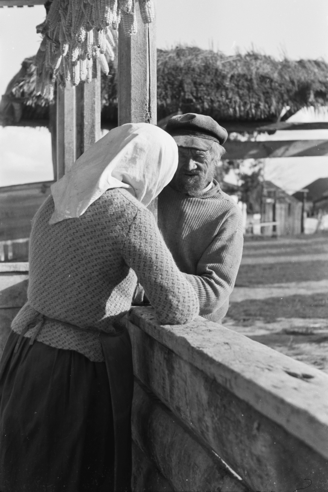 Russia, Koltunovka, 1942, Konok Tamás id, Soviet Union, eastern front, second World War, corn, headscarf, Fortepan #43193