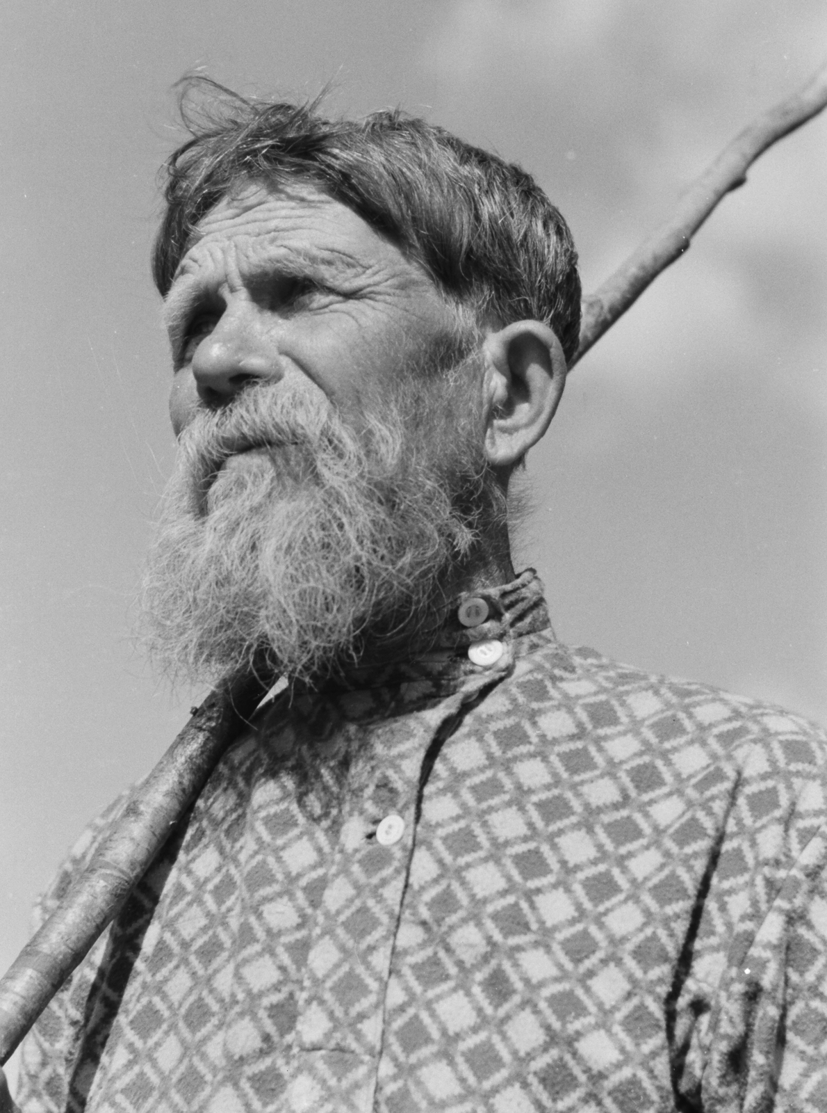 1942, Konok Tamás id, portrait, peasant, beard, Fortepan #43471