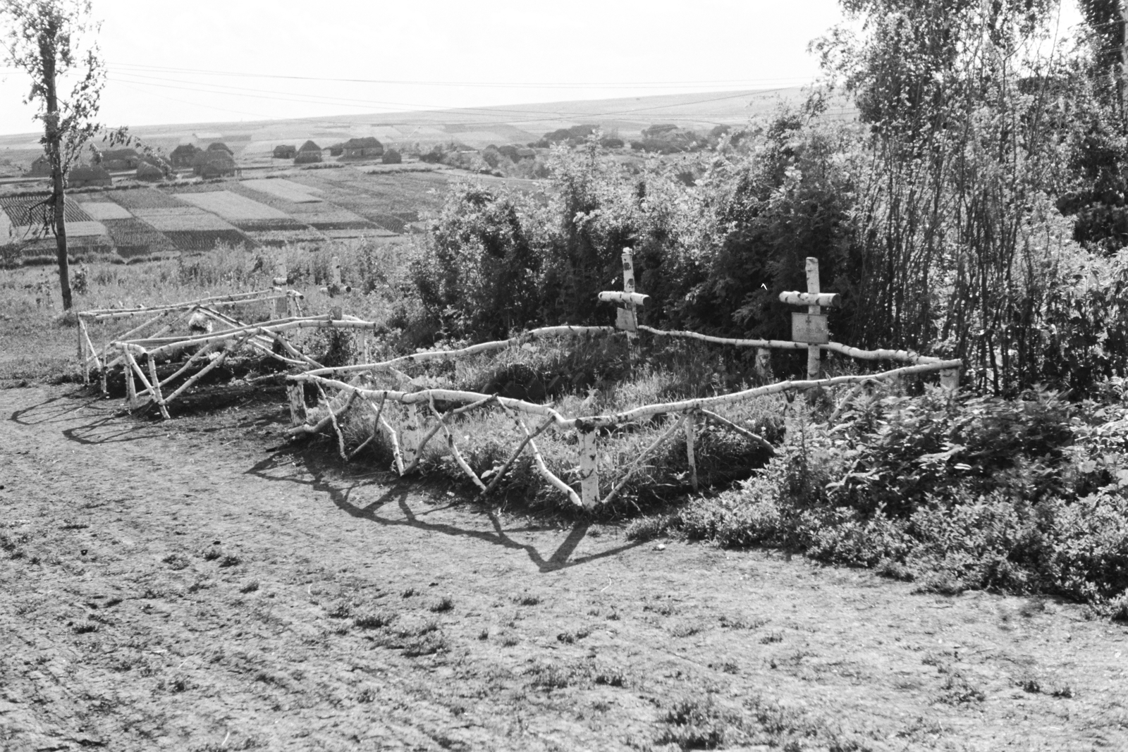 1942, Konok Tamás id, grave, Fortepan #43485