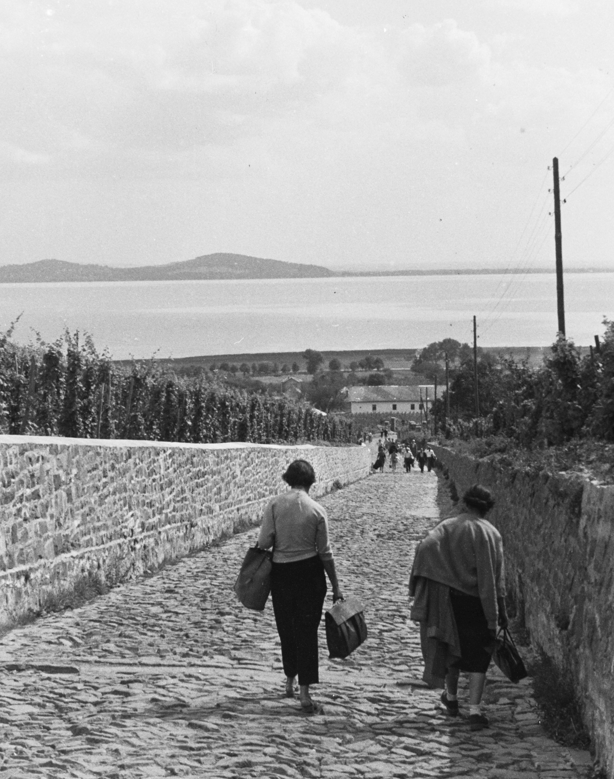 Hungary,Lake Balaton, Badacsonytomaj, Kisfaludy Sándor utca, úton a Kisfaludy-ház felől a Római út felé., 1964, Konok Tamás id, Fortepan #43539