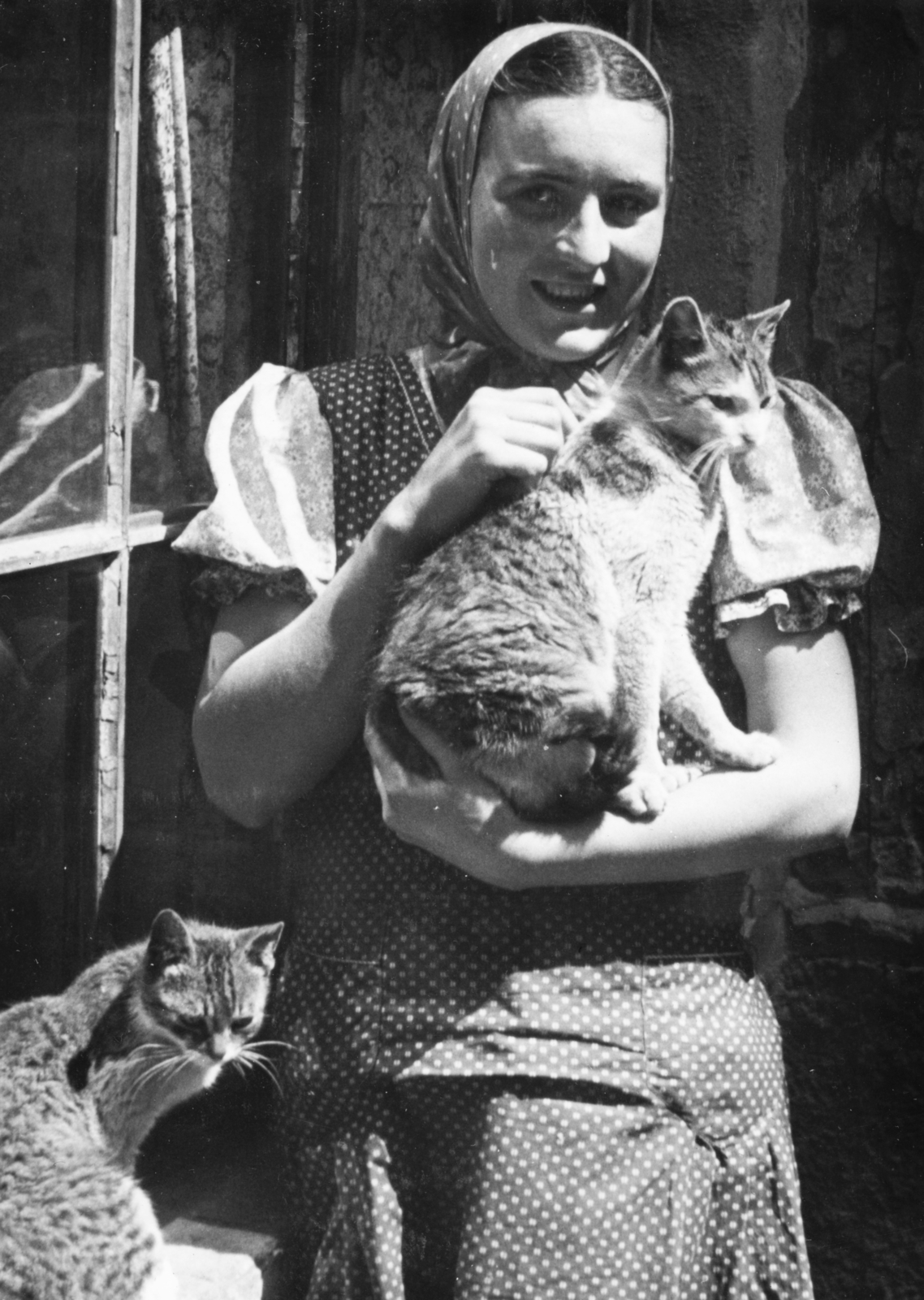 1939, Konok Tamás id, macska, kézben tartani, Fortepan #43674