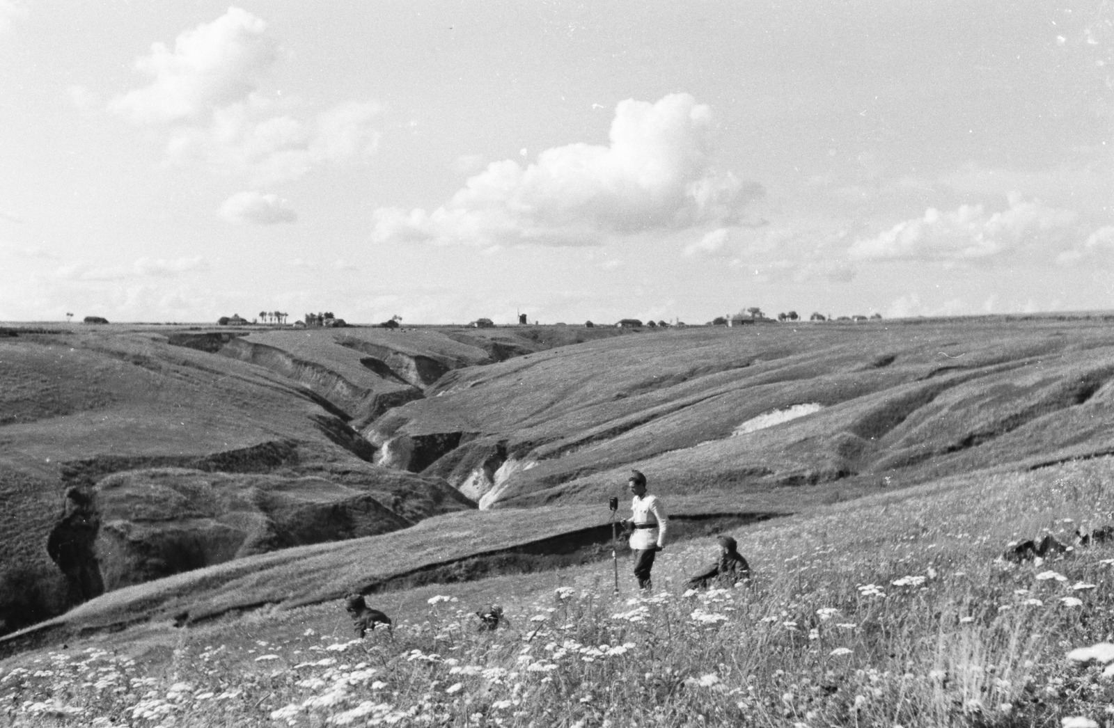 1942, Konok Tamás id, landscape, Fortepan #43717