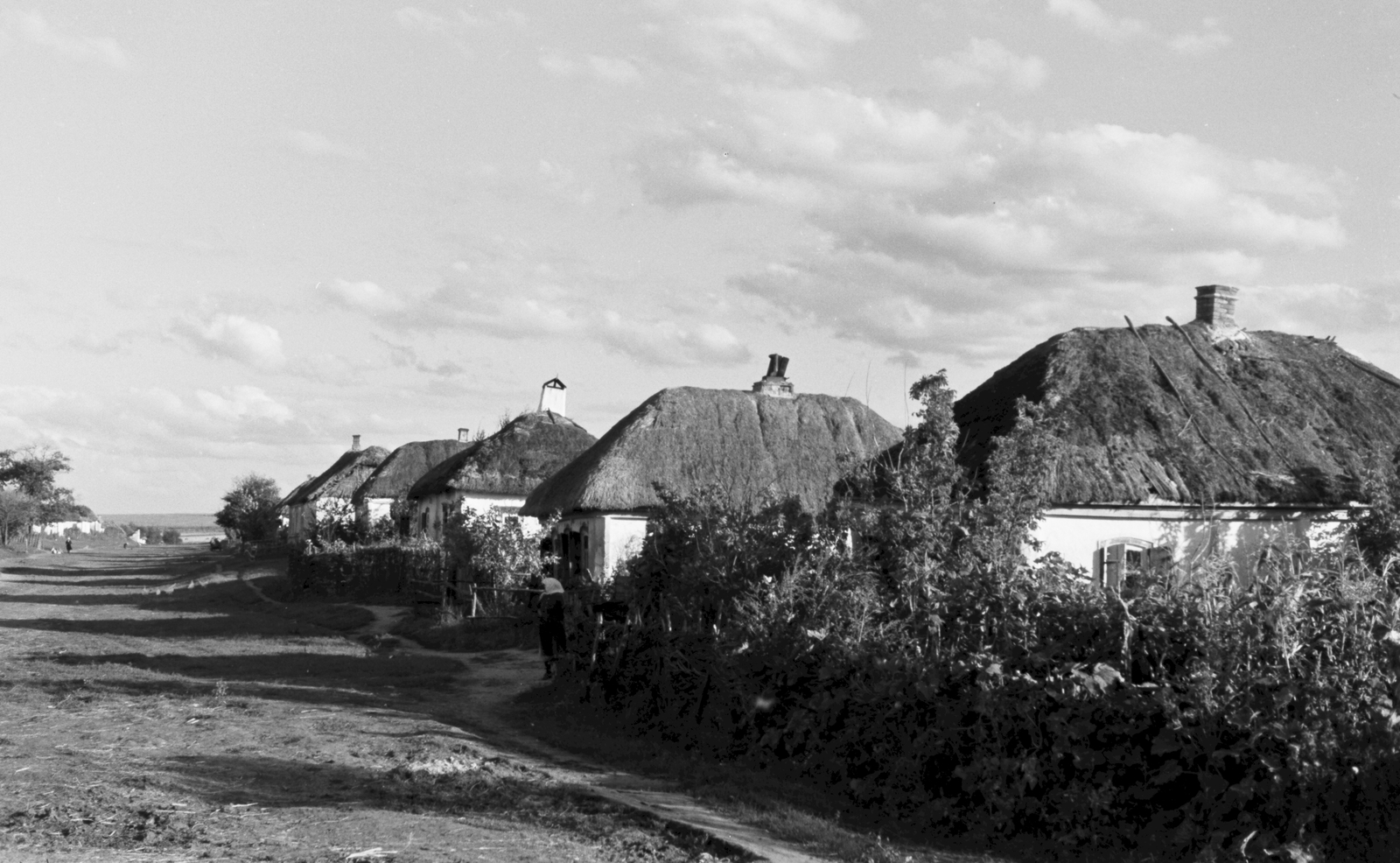 Russia, Koltunovka, 1942, Konok Tamás id, village, thatch roof, Fortepan #43723