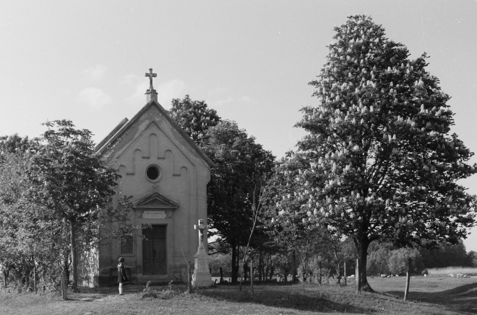 Hungary, Győr, Pinnyéd városrész temploma., 1939, Konok Tamás id, girl, cross, church, chestnut tree, Fortepan #43748