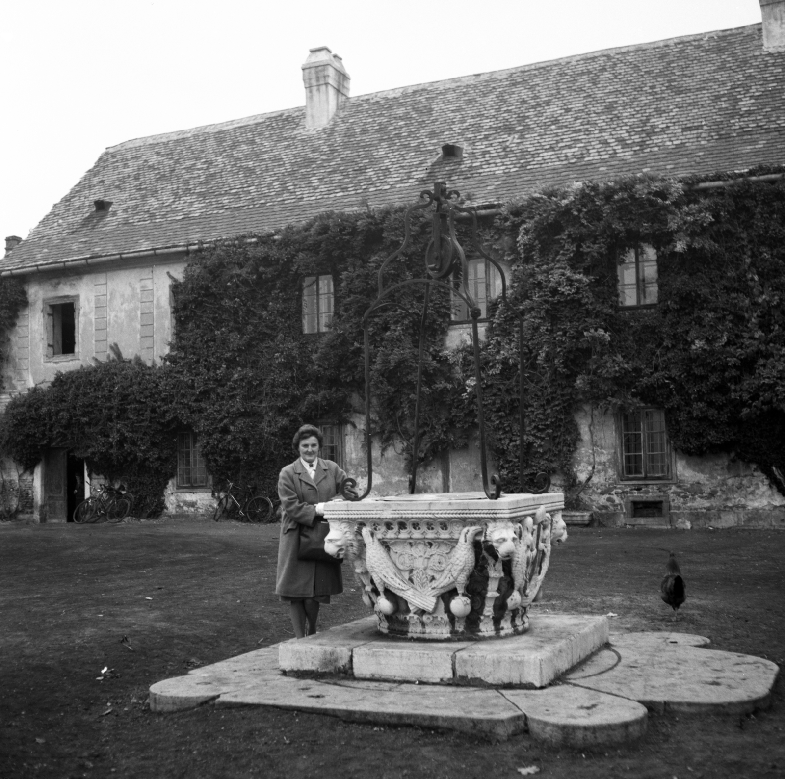 Hungary, Oroszlány,Majkpuszta, Esterházy-kastély a Kamalduli remeteség felől nézve., 1963, Gyöngyi, well, Fortepan #44249