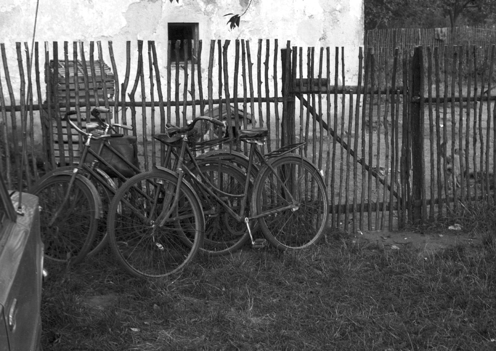 1975, Schiffer Pál, bicycle, Fortepan #44324