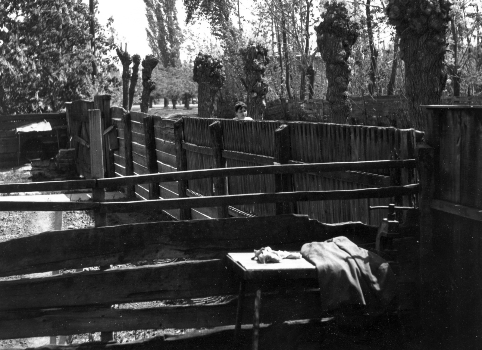 Hungary, a kép a Tiszazug című film forgatásakor készült., 1968, Schiffer Pál, filming, Fortepan #44350