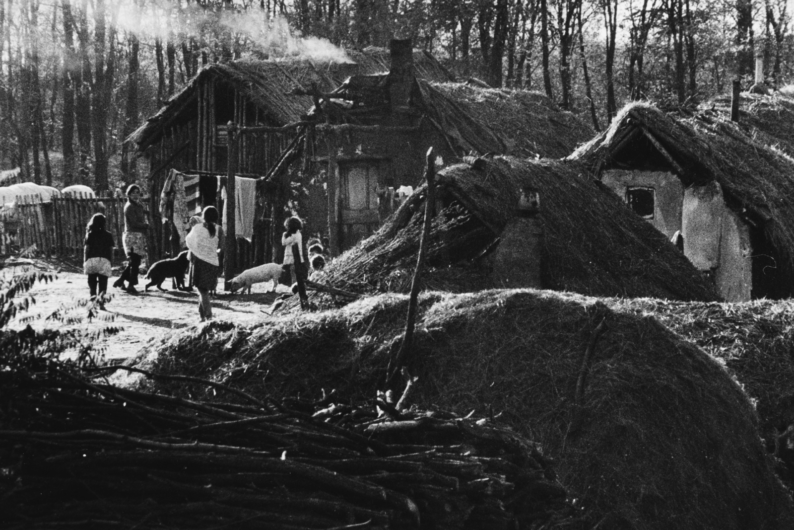 Magyarország, a kép a Mit csinálnak a cigánygyerekek? című film forgatásakor készült., 1973, Schiffer Pál, Féner Tamás, filmforgatás, Fortepan #44387