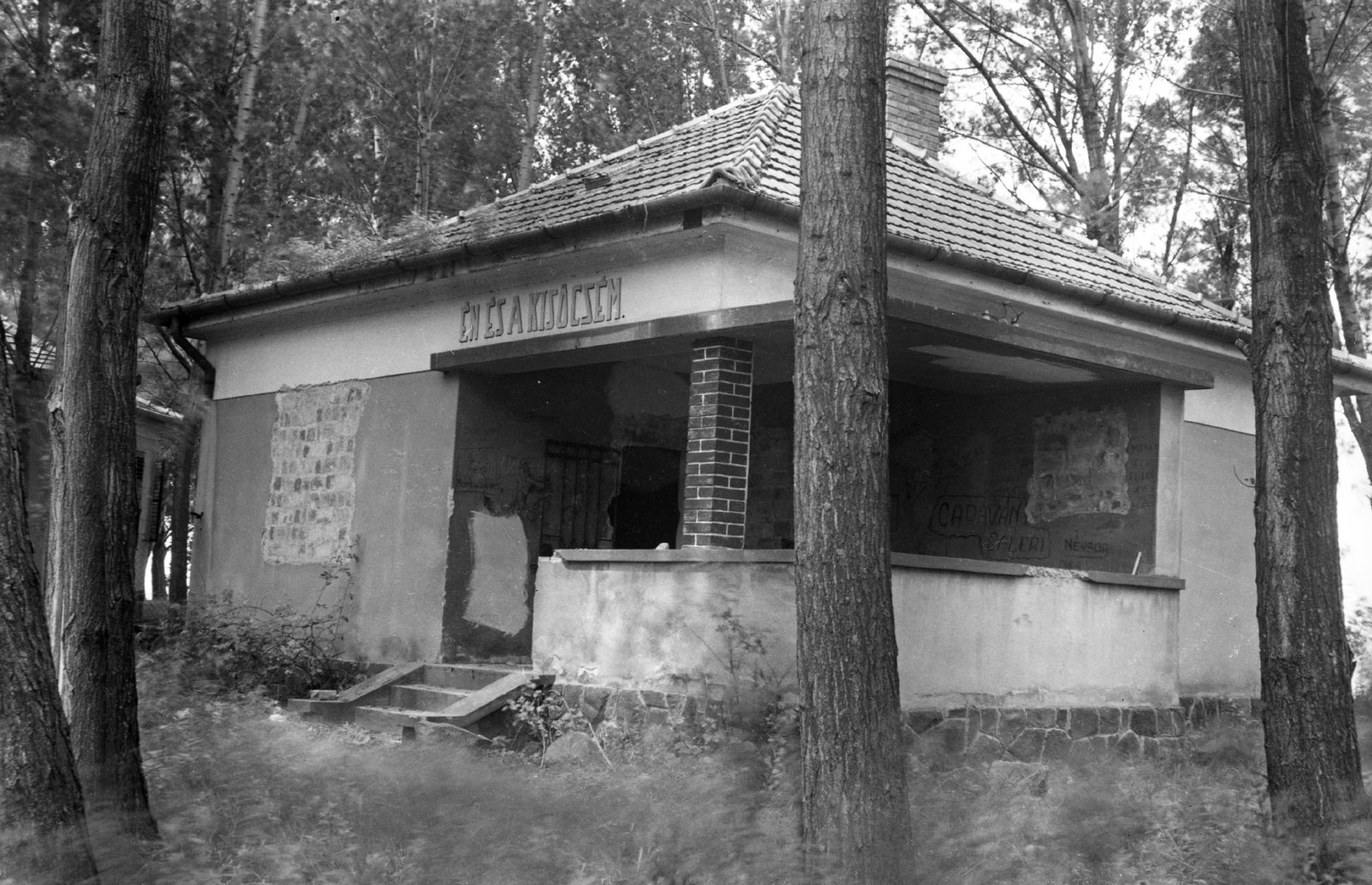 Magyarország,Balaton, Siófok, Szabadifürdő (ekkor Balatonszabadi település része)., 1945, Korenchy László, épület, fa, felirat, Fortepan #44511