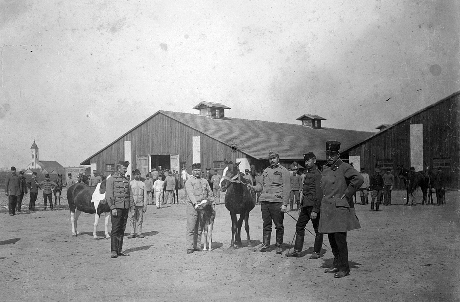 Magyarország, Békéscsaba, Erzsébethely, ismertebb nevén Jamina városrész, háttérben az evangélikus templom., 1915, Kövendy Katalin, egyenruha, ló, szarvasmarha, katona, Fortepan #44862