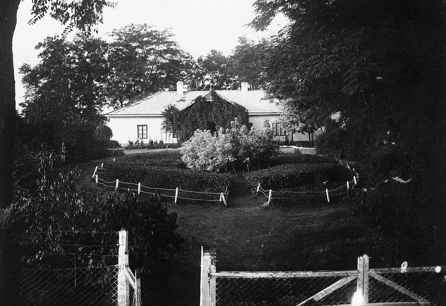 1922, Kövendy Katalin, kert, kapu, nyár, kerítés, repkény, nyaraló, kúria, Fortepan #44870