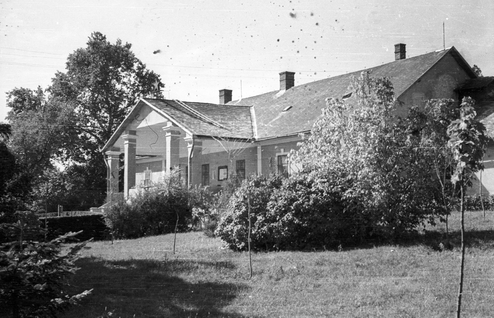 1958, Mészáros Zoltán, bush, sapling, building, Fortepan #44963