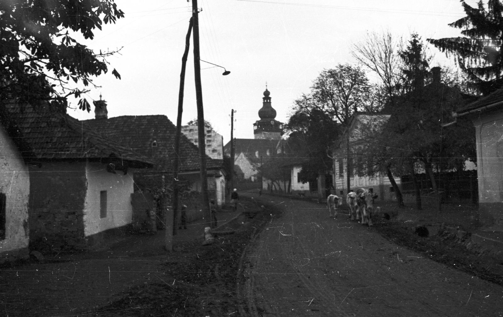 Hungary, Tolcsva, háttérben a római katolikus templom., 1958, Mészáros Zoltán, street view, cattle, lamp post, Fortepan #44969