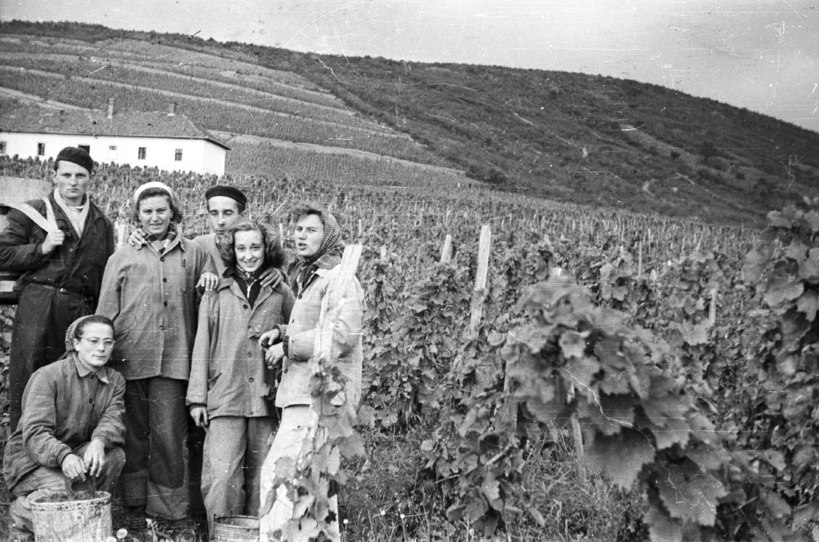 Hungary, Tolcsva, Kertészeti Főiskola hallgatói., 1958, Mészáros Zoltán, vine hill, working clothes, youth, Fortepan #44982