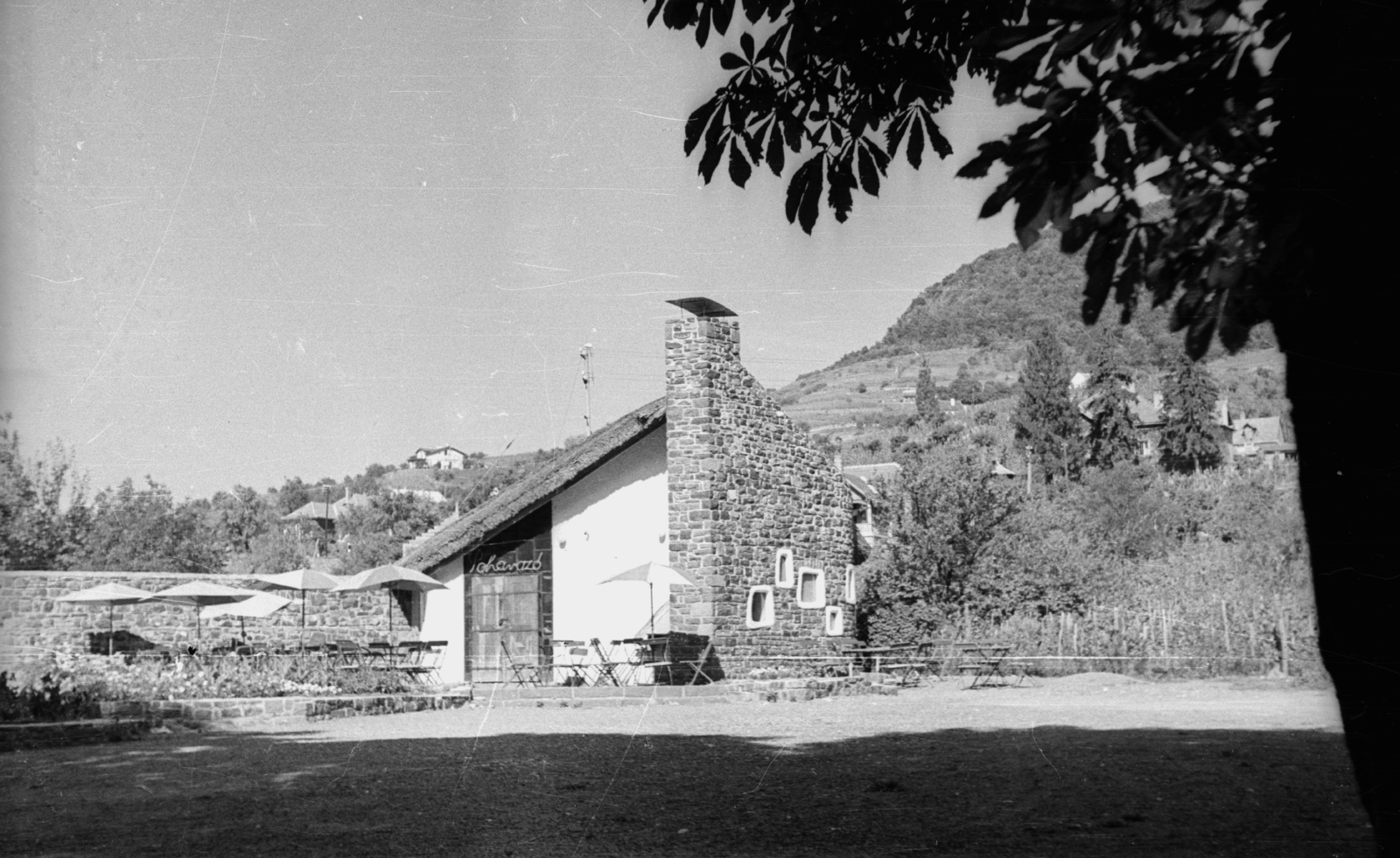 Hungary,Lake Balaton, Badacsonytomaj, Poharazó a vasútállomás mögötti park fölött., 1959, Mészáros Zoltán, sunshades, terrace, Fortepan #45050