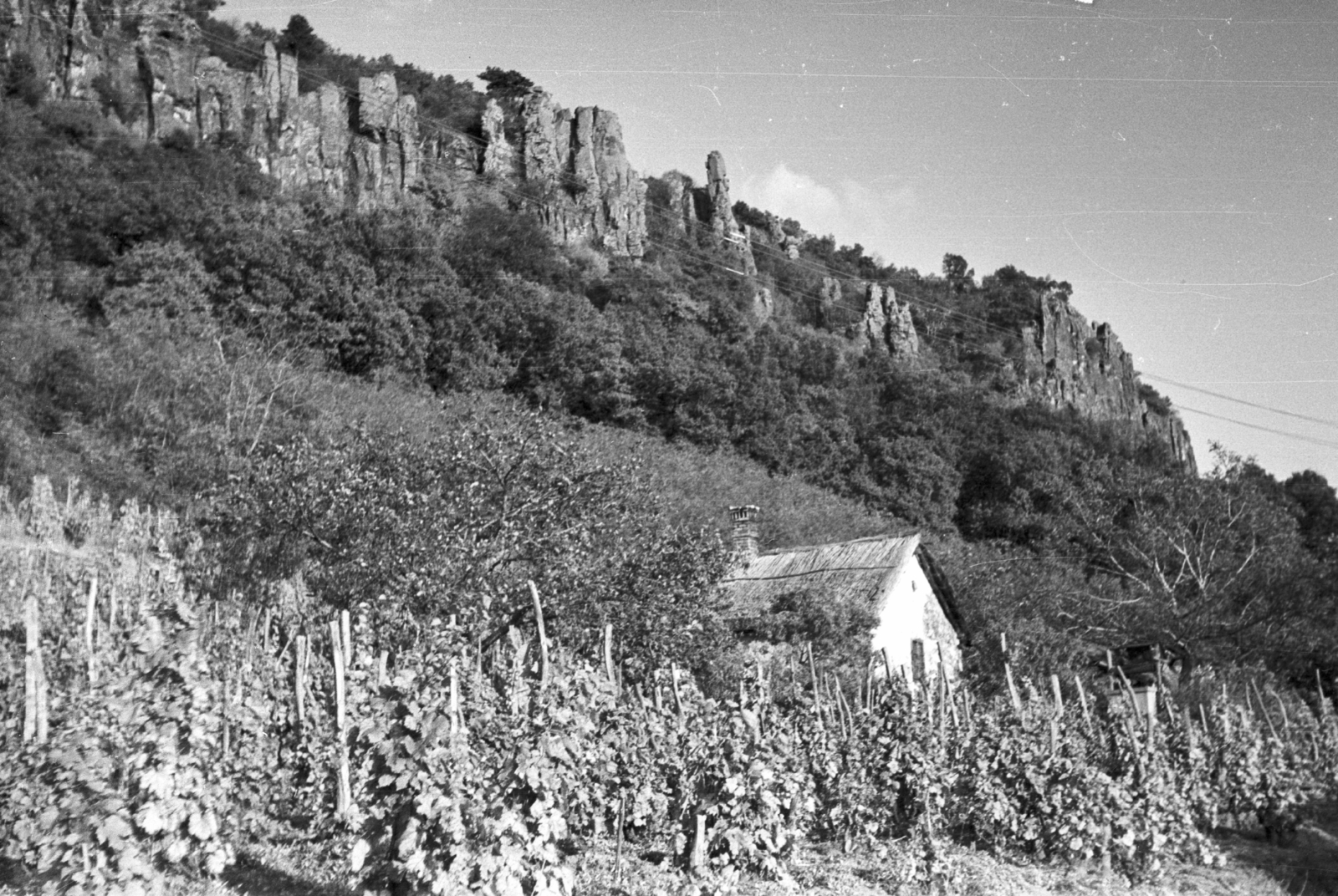 Magyarország,Balaton, Badacsony, Badacsonytomaj, bazaltorgonák., 1959, Mészáros Zoltán, tájkép, szőlő, bazalt, présház, Fortepan #45072