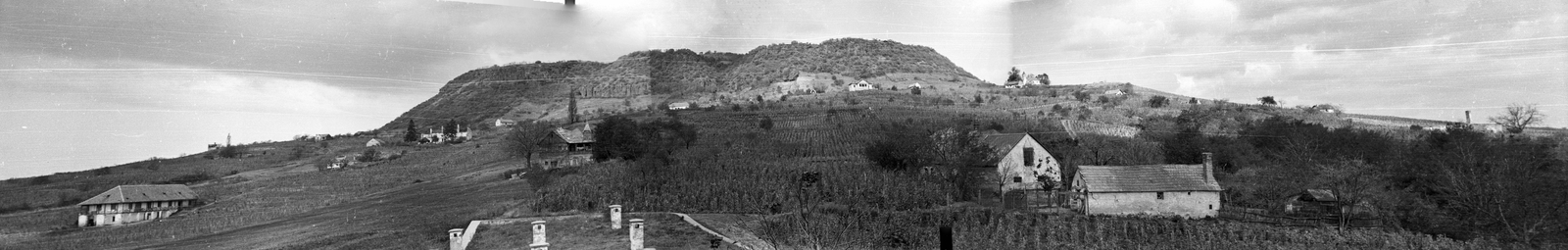Hungary, Somlóvásárhely, szőlőültetvények és borászatok a Somló oldalában., 1959, Mészáros Zoltán, landscape, panoramic photography, Fortepan #45103