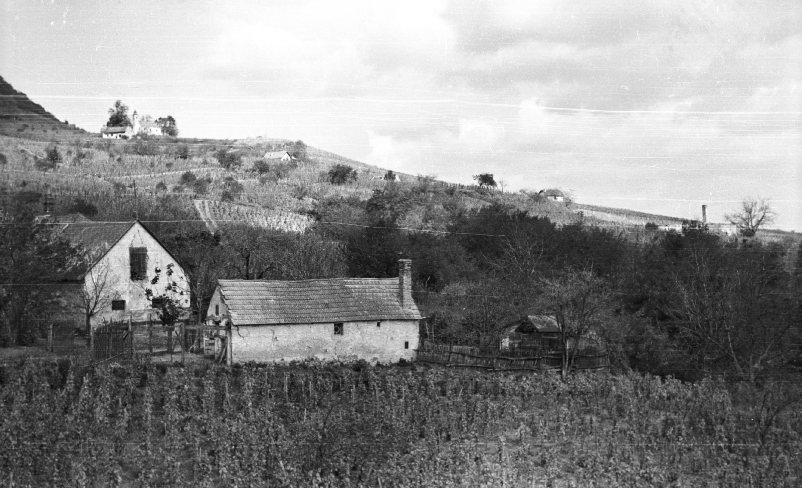 Magyarország, Somlóvásárhely, szőlőültetvények és borászatok a Somló oldalában, fent a Szent Margit-kápolna., 1959, Mészáros Zoltán, tájkép, szőlő, présház, borospince, Fortepan #45106