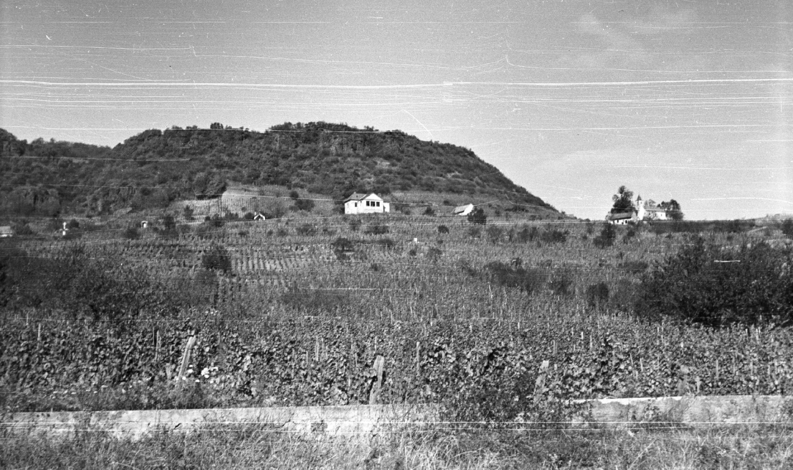 Hungary, Somlóvásárhely, szőlőültetvények és borászatok a Somló oldalában, jobbra a Szent Margit-kápolna., 1959, Mészáros Zoltán, landscape, grape, chapel, vine hill, Fortepan #45107