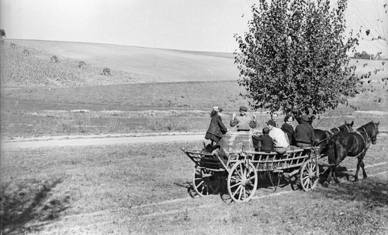 Hungary, Felsőnána, 1959, Mészáros Zoltán, chariot, genre painting, field, barrel, coach, Fortepan #45119