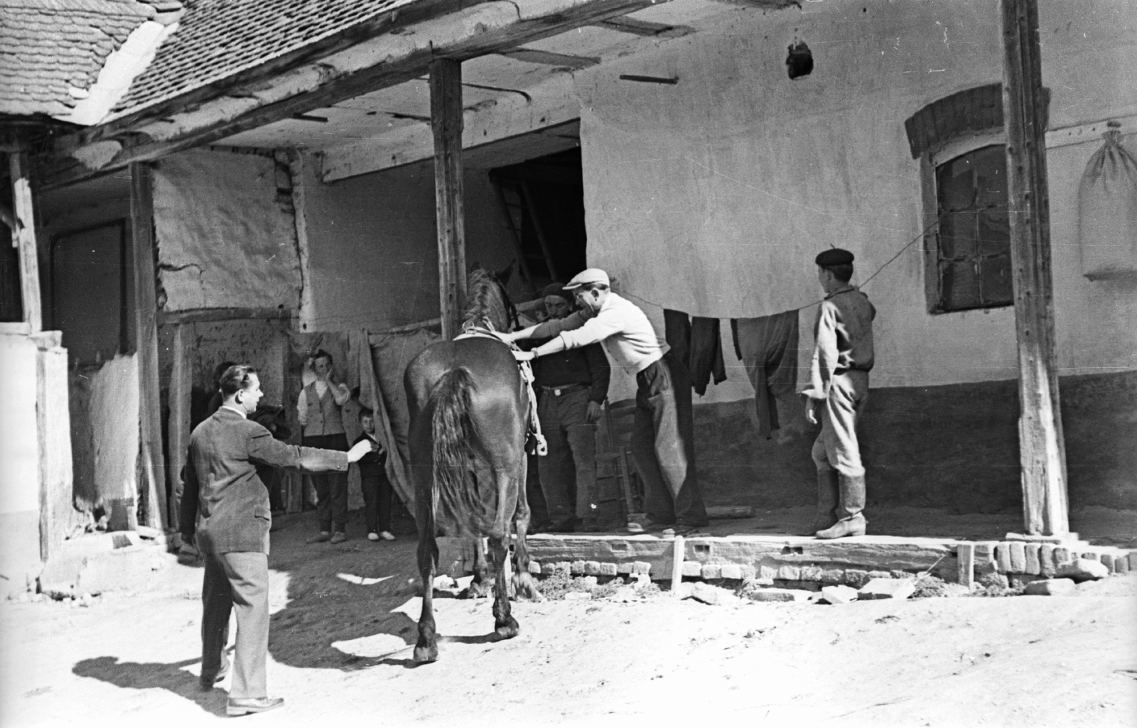 Hungary, Felsőnána, 1959, Mészáros Zoltán, horse, yard, Fortepan #45121