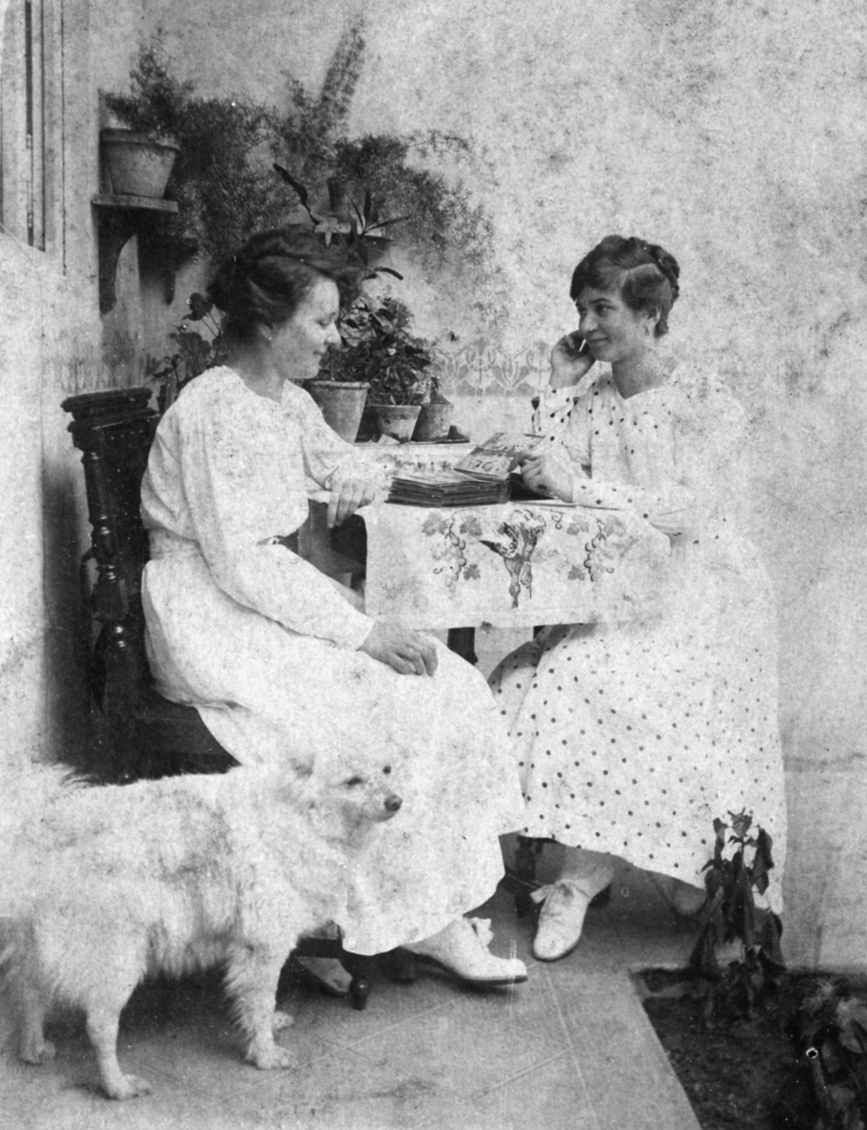 1920, Morvay Kinga, divat, kutya, nők, enteriőr, idill, Fortepan #45377