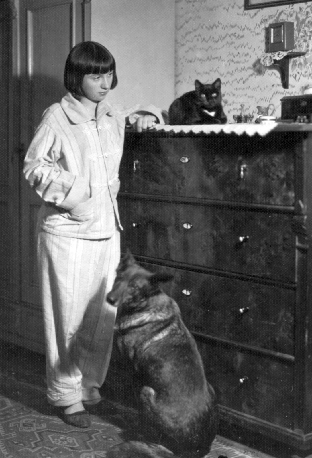 1938, Morvay Kinga, dog, cat, cupboard, nightgown, Fortepan #45391